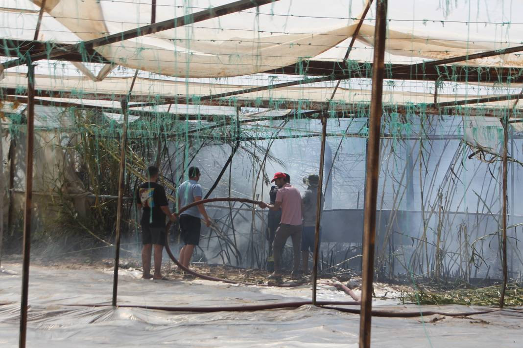 Otluk alanda başladı orman ve seralara sıçradı - Resim: 18